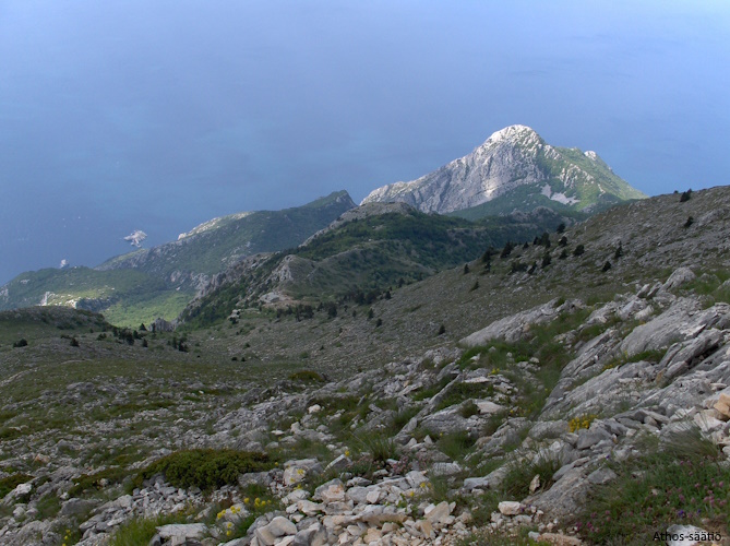 Athokselta